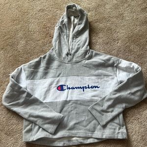 Champion hoodie